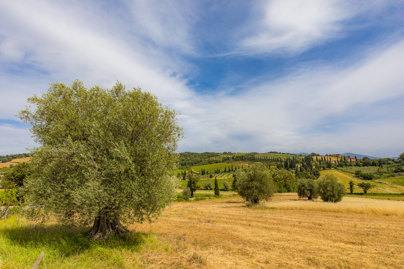 Landschaft bei Abtei   Sant Antimo