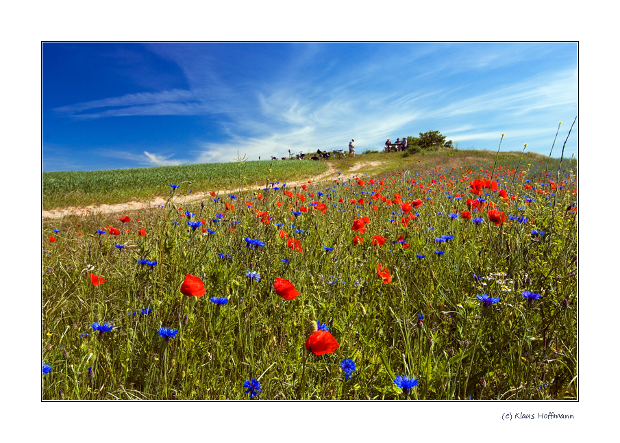 Landschaft bei Ahrenshoop #2