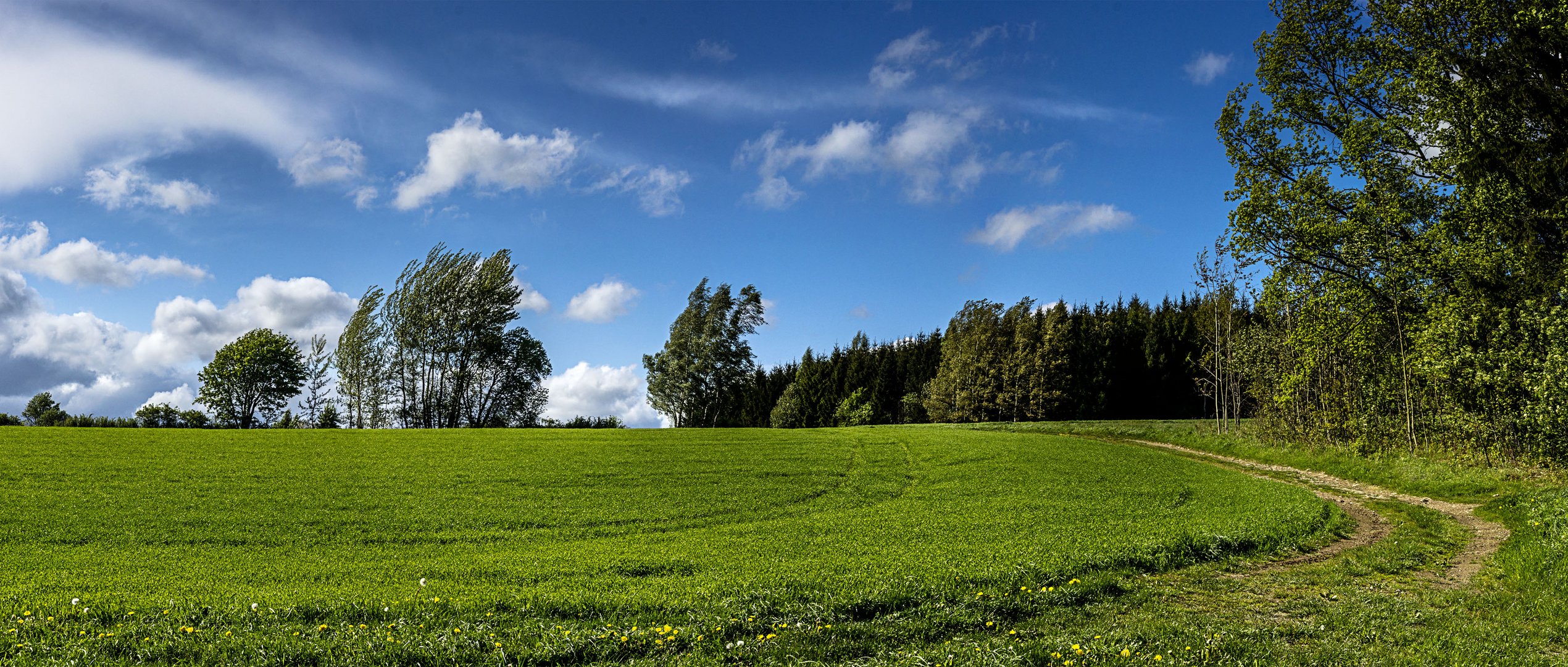 Landschaft bei Annaberg Buchholz