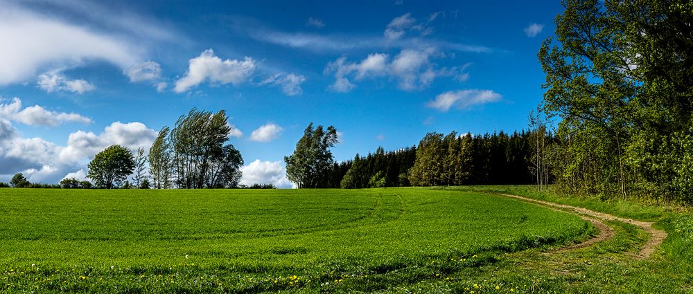 Landschaft bei Annaberg Buchholz