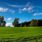 Landschaft bei Annaberg Buchholz