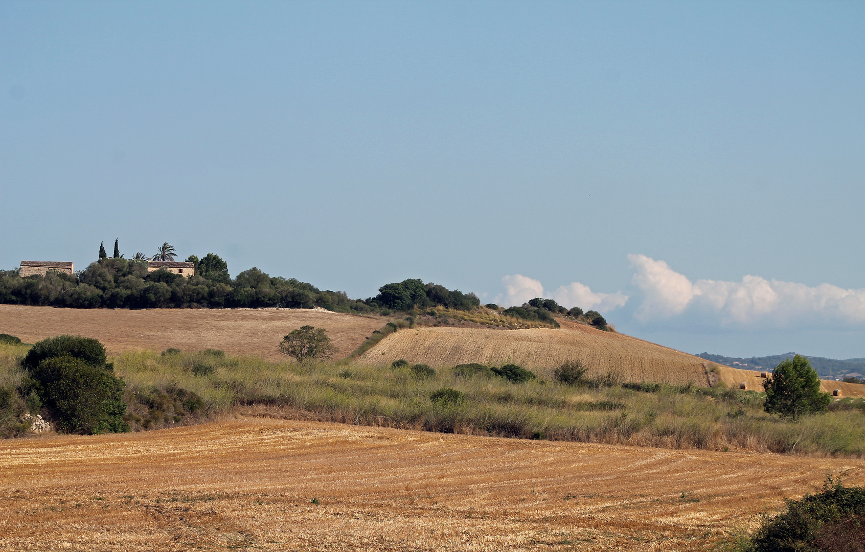 Landschaft bei Arta