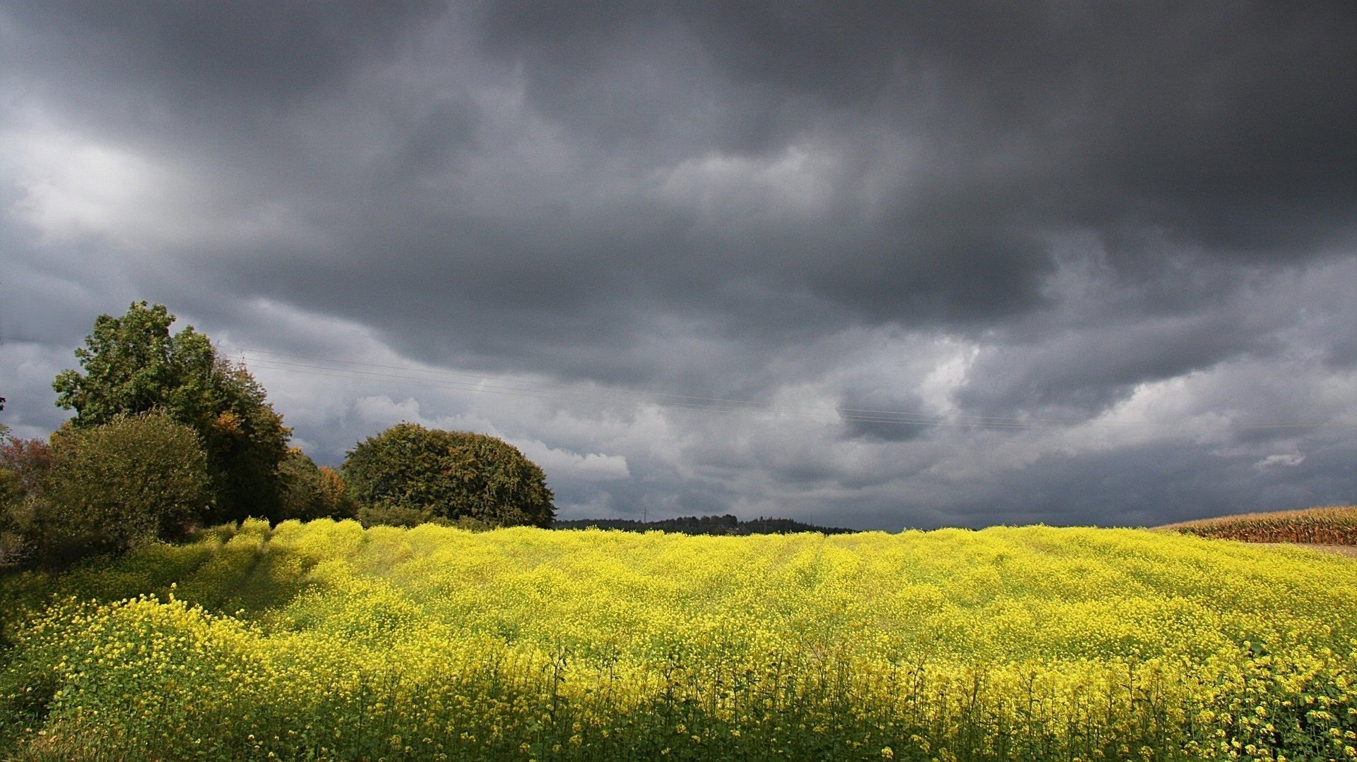 Landschaft bei Auerbach/Obpf.