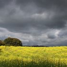 Landschaft bei Auerbach/Obpf.