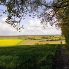 Landschaft bei Bad Mergentheim...