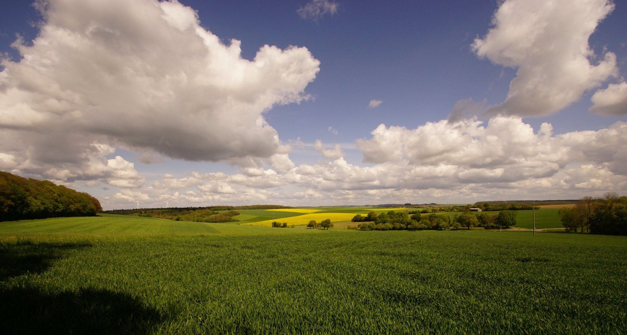 Landschaft bei Bad Mergentheim...