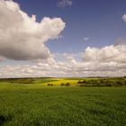 Landschaft bei Bad Mergentheim...