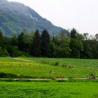 Landschaft bei Bad Vigaun