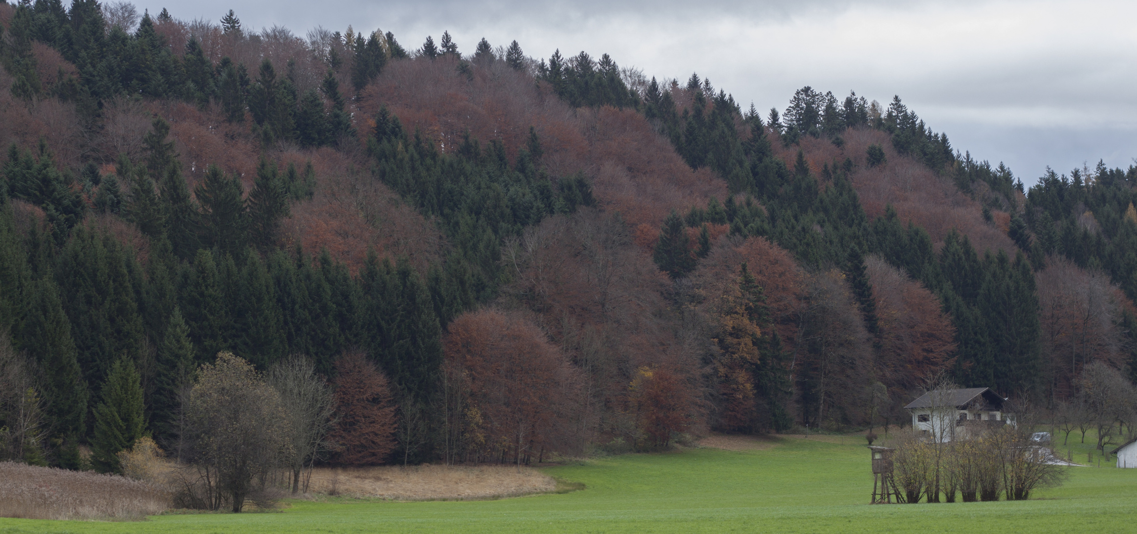Landschaft bei Bad Vigaun im Herbst