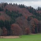 Landschaft bei Bad Vigaun im Herbst