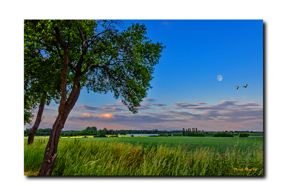 Landschaft bei Bagow