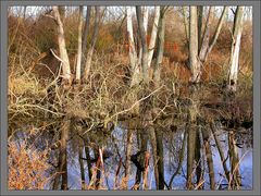 Landschaft bei Beckerwitz