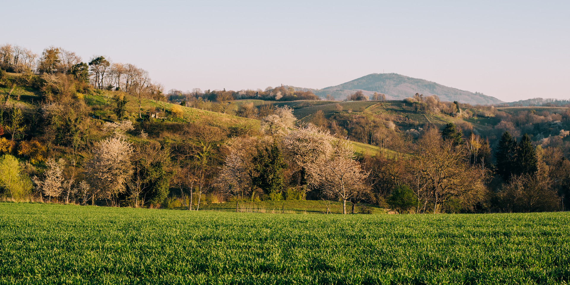 Landschaft bei Bensheim 2020