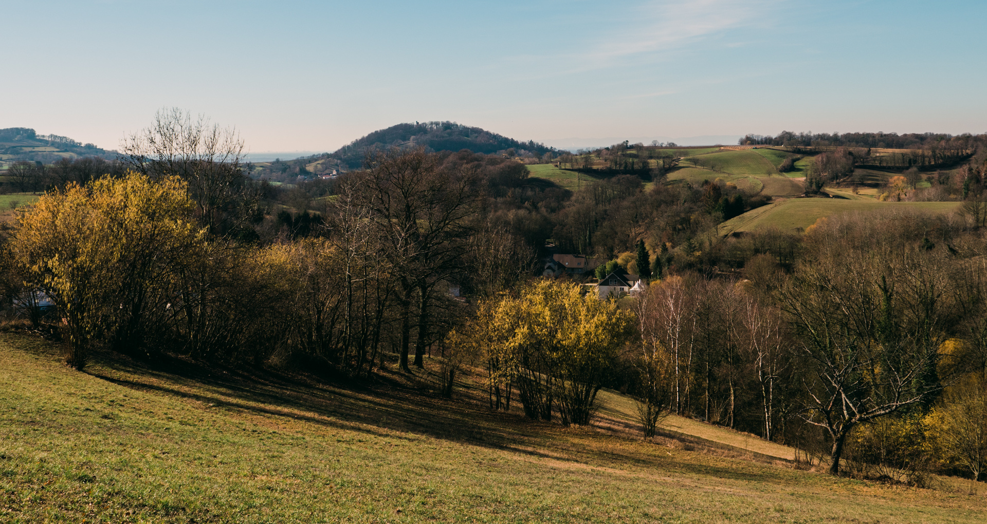 Landschaft bei Bensheim Gronau 2019