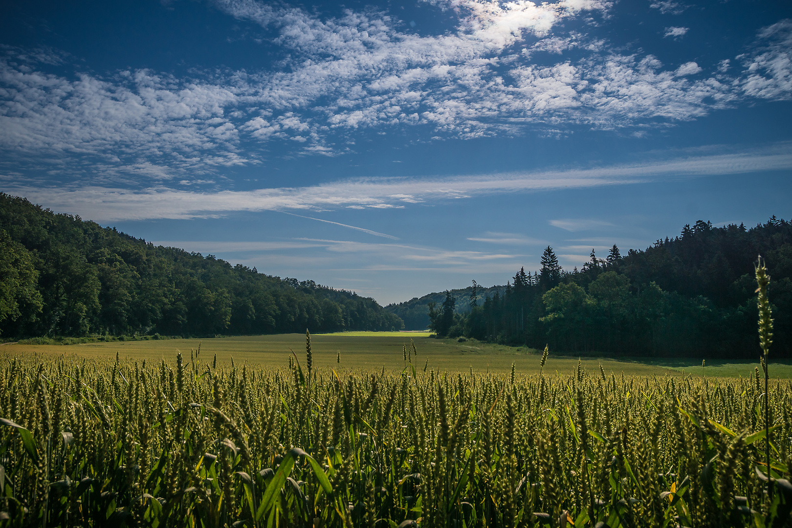 Landschaft bei Bernstadt 2