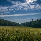 Landschaft bei Bernstadt 2