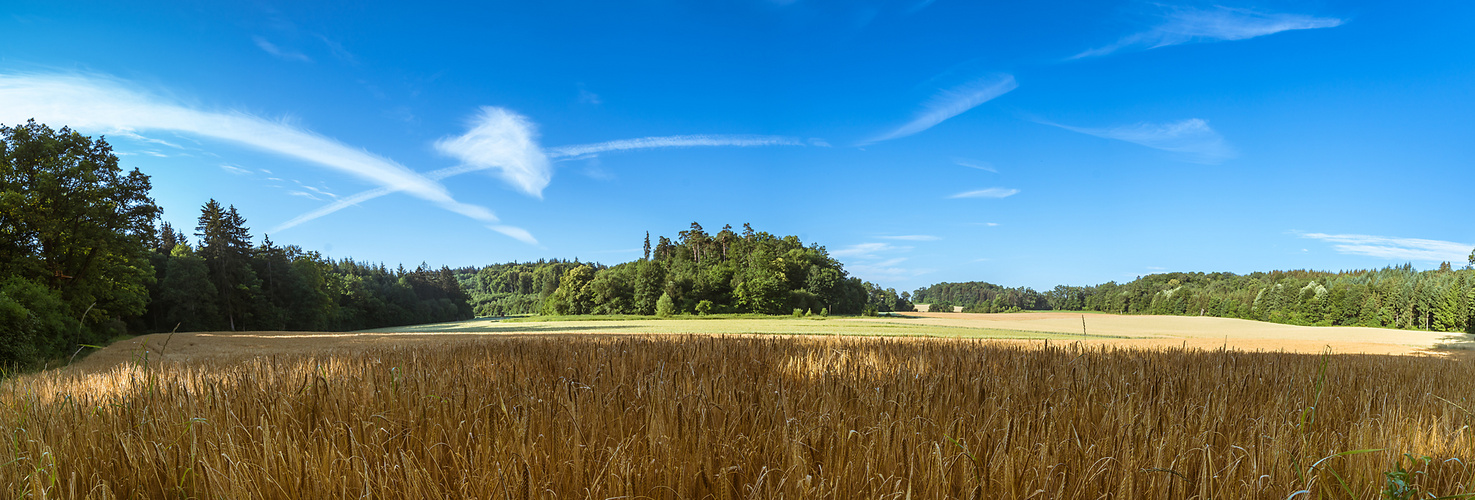 Landschaft bei Bernstadt