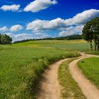 Landschaft bei Blumberg/Baden am 21.6.2013 - Sommeranfang