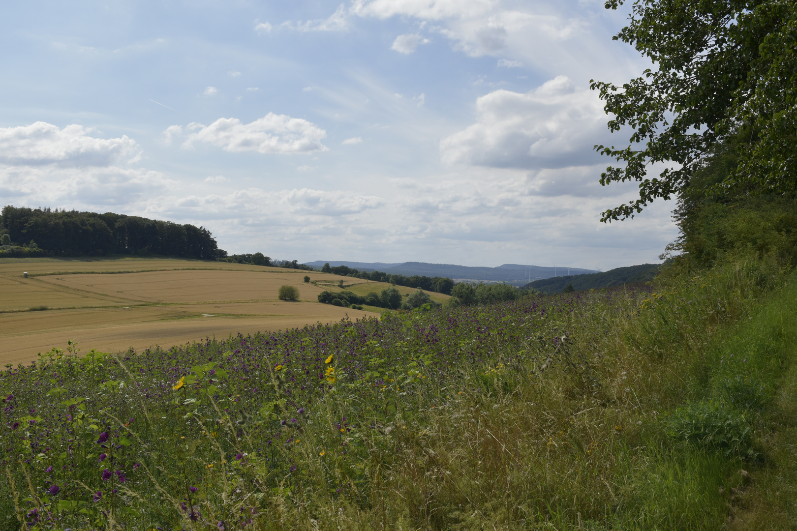 Landschaft bei Bodenwerder