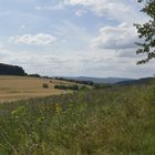 Landschaft bei Bodenwerder