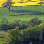 Landschaft bei Bolanden in der Pfalz