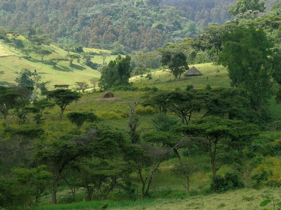 Landschaft bei Bonga