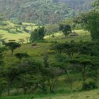 Landschaft bei Bonga