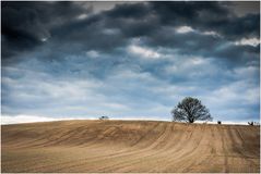 Landschaft bei Brodowin