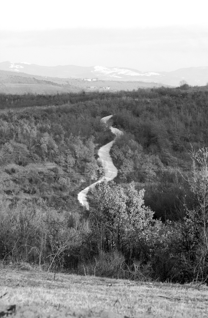 Landschaft bei Brtonigla