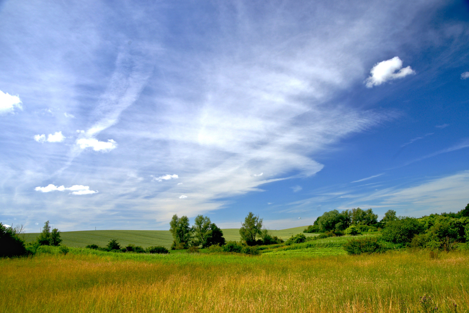 Landschaft bei Brüel,