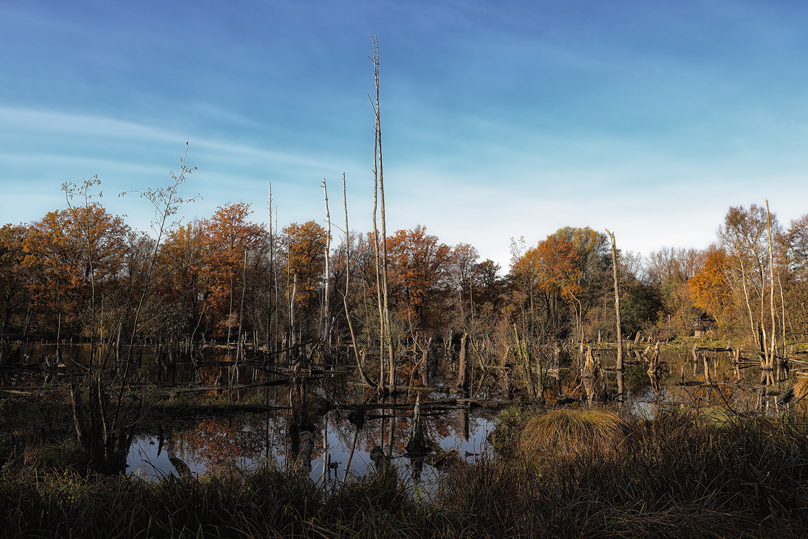 Landschaft bei Brüggen