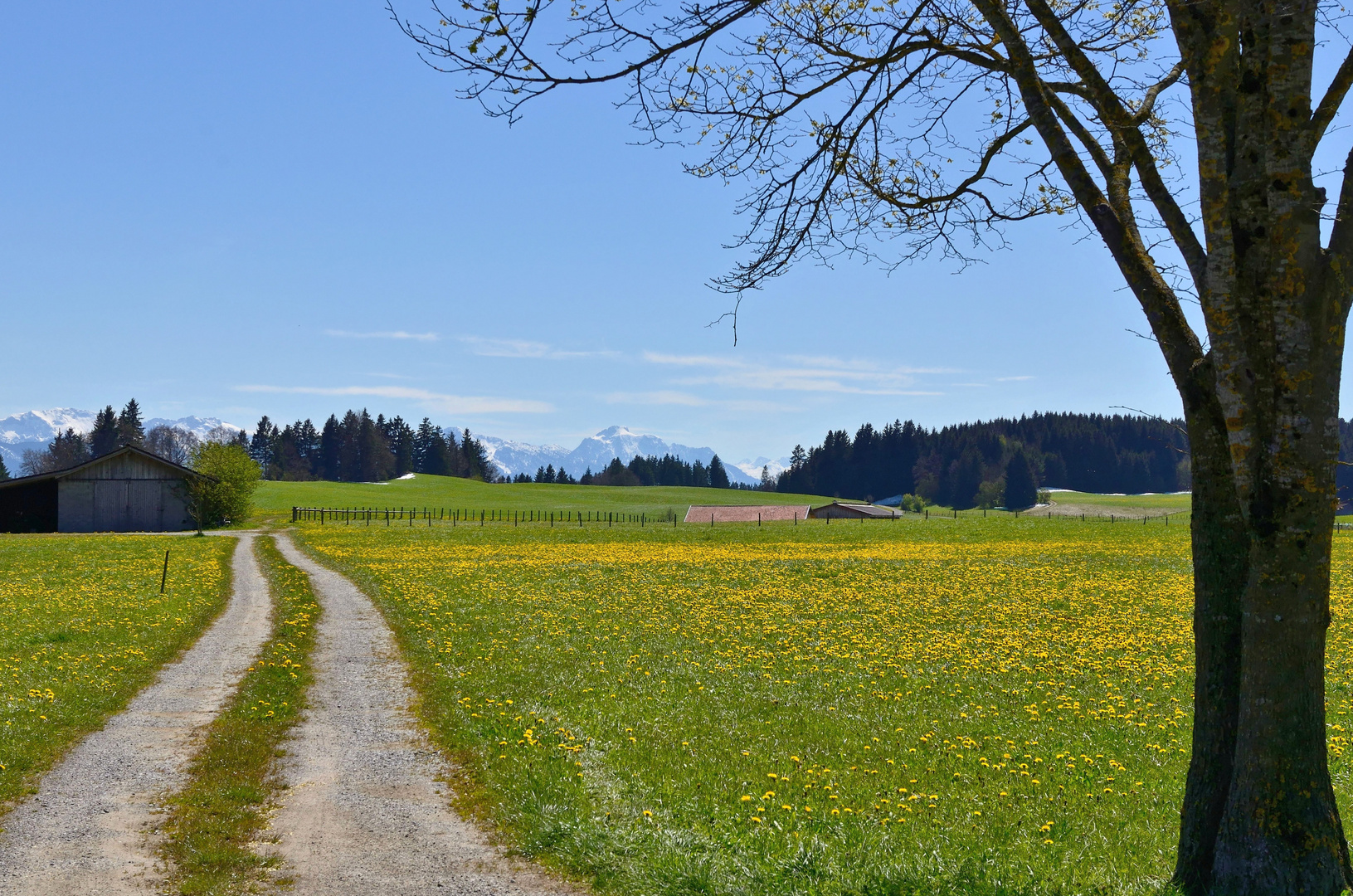 Landschaft bei Burggen_2