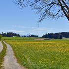 Landschaft bei Burggen_2