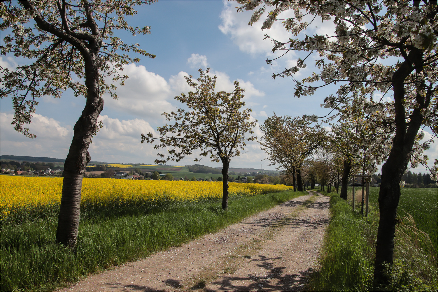 Landschaft bei Callenberg