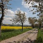 Landschaft bei Callenberg