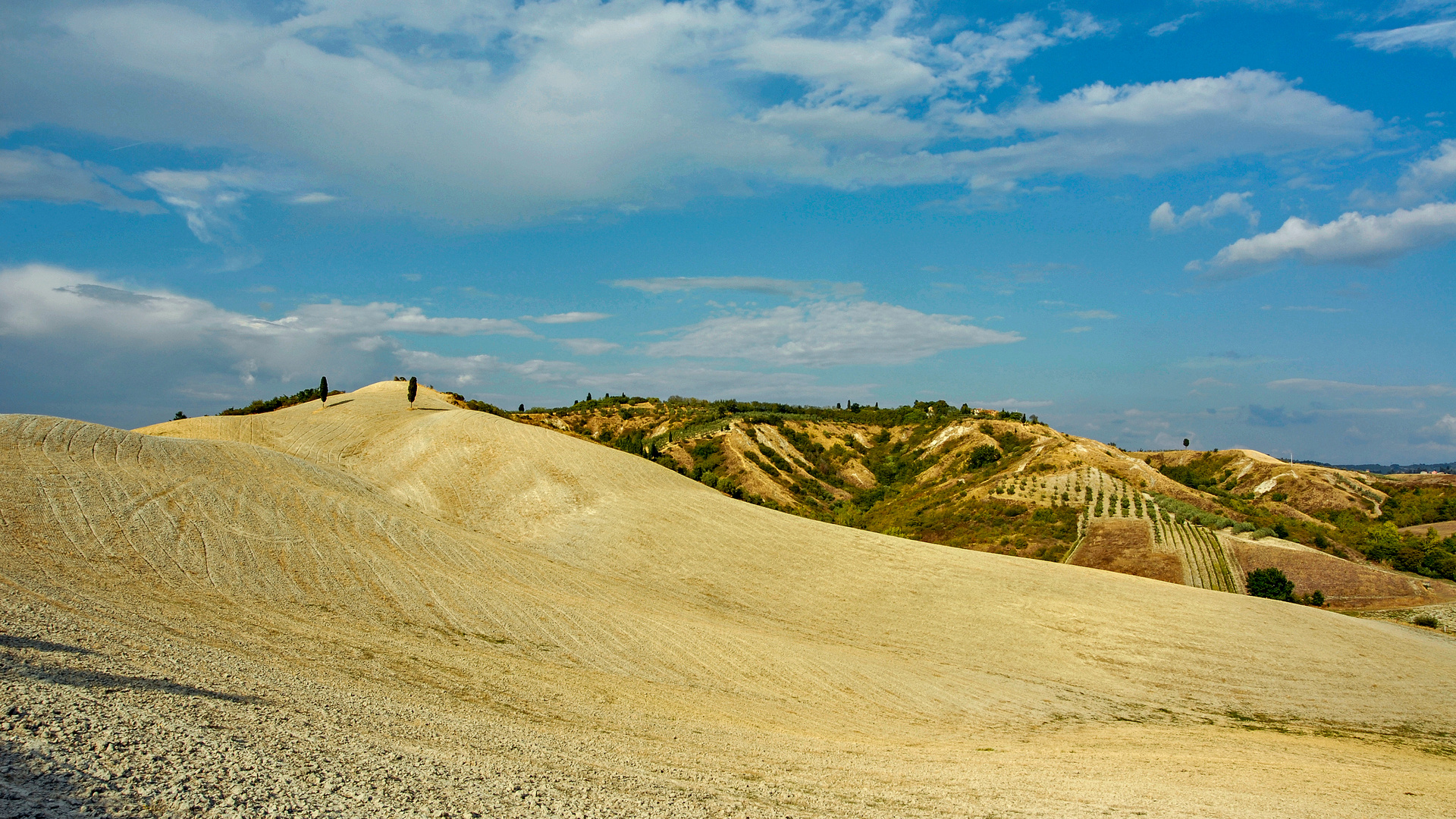 Landschaft bei Certaldo 01