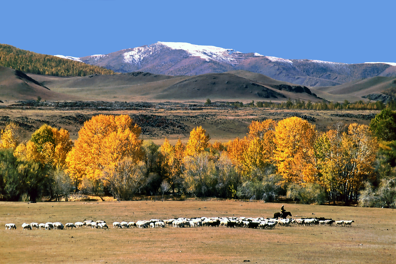 Landschaft bei Charchorin/Mongolei