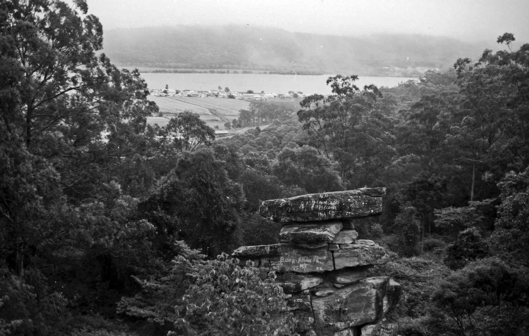 Landschaft bei Coffs Harbour