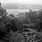 Landschaft bei Coffs Harbour