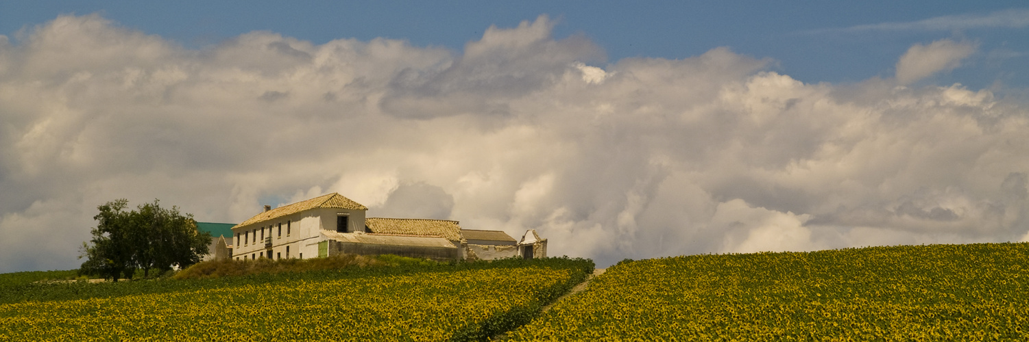 Landschaft bei Cordoba