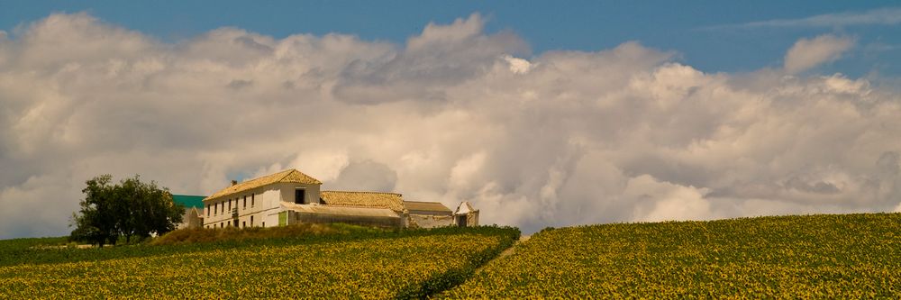 Landschaft bei Cordoba