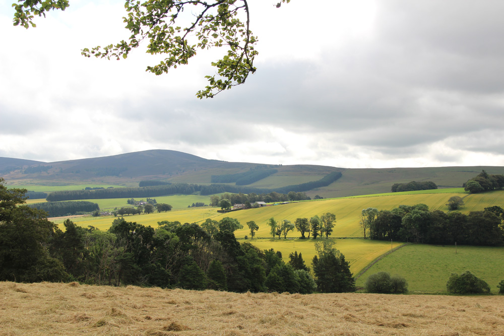 Landschaft bei Craigievar (SCO)