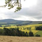 Landschaft bei Craigievar (SCO)