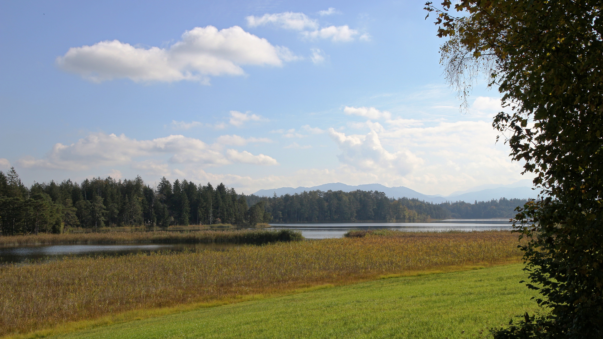 Landschaft bei den Osterseen (2021_10_16_8548_ji)