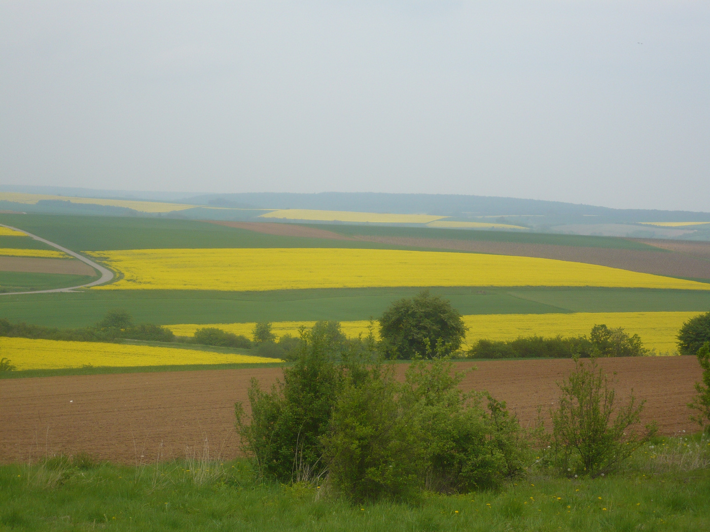 Landschaft bei Dettelbach