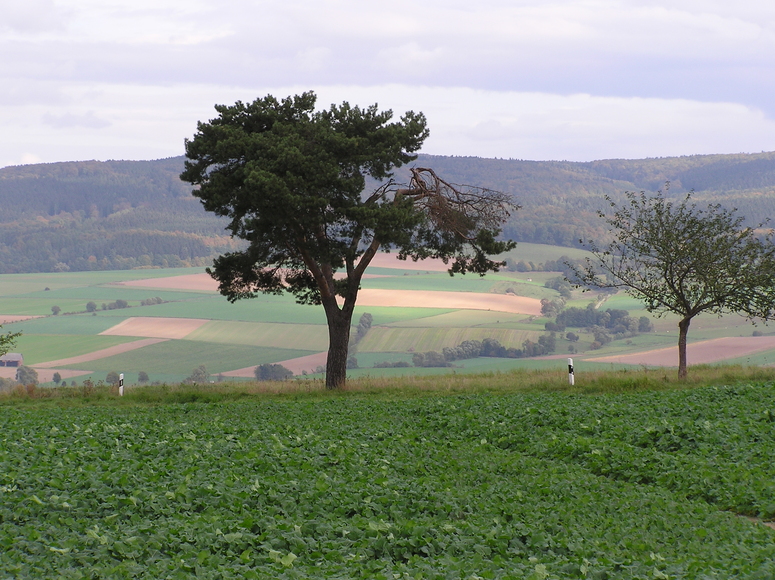 Landschaft bei Dransfeld