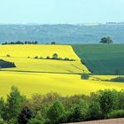 Landschaft bei Dresden