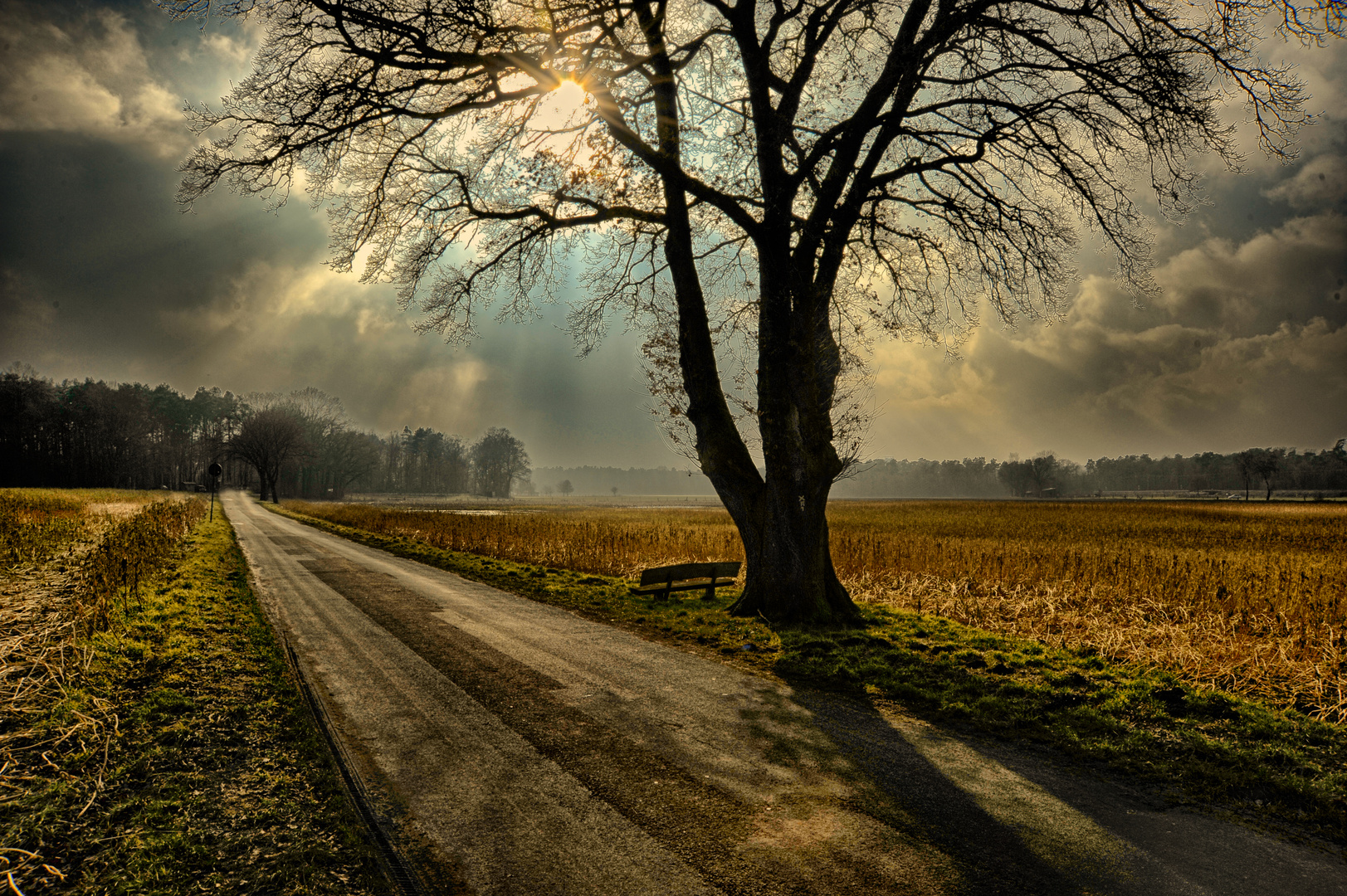 Landschaft bei Dülmen