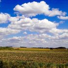 Landschaft bei Erlangen