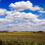 Landschaft bei Erlangen